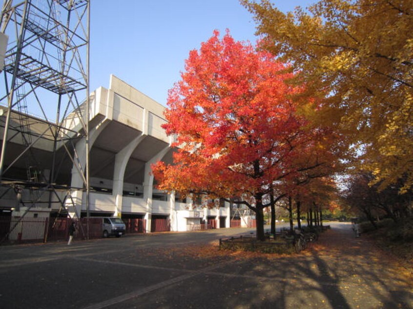 西京極運動公園(公園)まで1400m メゾン・ド・コヤマ