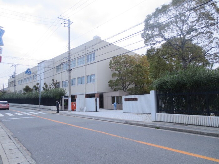 神戸学院大学(大学/短大/専門学校)まで800m パラディッソコート