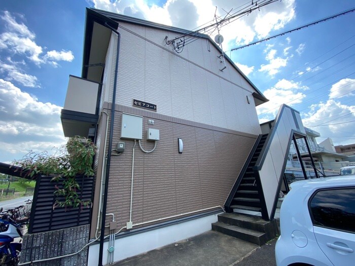 駐車場 セピアコ－ト