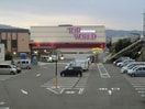 トップワールド牧野店(スーパー)まで335m 中尾ハイツ