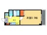 ＡＰＥＸ　ＦＬＡＴ 1Kの間取り
