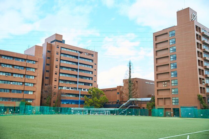 大阪国際大学(大学/短大/専門学校)まで900m フジパレス大和田Ⅴ番館