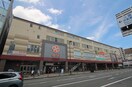 ライフ二条駅前店(スーパー)まで130m シャントール二条