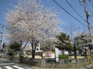 桂大寺児童公園(公園)まで120m ロイヤル・むらかみ