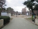 愛染公園(公園)まで120m クレビオス難波ＥＡＳＴ(903)