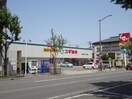 スギ薬局(ドラッグストア)まで236m アリビオ江坂南金田