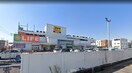 ライフ大仙店(スーパー)まで500m シャイロ205堺東