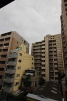 室内からの展望 プリムローズ