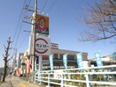 ジャパン(ディスカウントショップ)まで620m グランロジェール