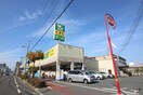 サーバー住之江南加賀屋店(ドラッグストア)まで600m シャトレーヌ北島