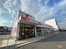 ココカラファイン住吉東店(ドラッグストア)まで300m LANA HALE