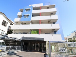 アルファレガロＫＡＭＩＳＡＷＡ