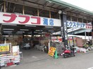 ナフコ(電気量販店/ホームセンター)まで370m マ・メゾン岩屋