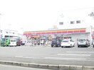 サンクス(コンビニ)まで510m アイネパウゼ