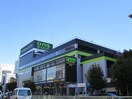 ロイヤルホームセンター(電気量販店/ホームセンター)まで200m ブランシエスタ森ノ宮