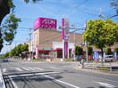 イオン三木店(スーパー)まで600m サニーハイツ平田