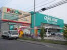 カインズホーム(電気量販店/ホームセンター)まで1110m 若竹ハイツ