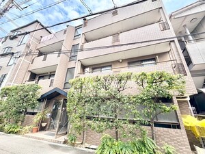 カルム・カシオーレ