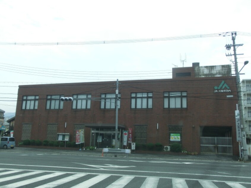 大阪中河内農協(銀行)まで543m ラ－ジ