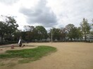 下稲葉公園(公園)まで450m SOLEIL　MUKOGAWA　Ⅱ