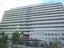 大阪赤十字病院(病院)まで100m エル・セレ－ノ上本町レジデンス
