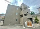 アンプルールフェール樹の外観