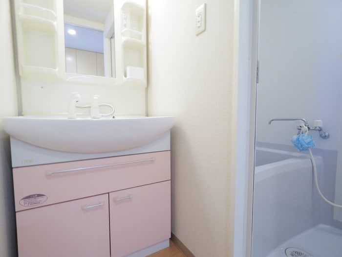 洗面 サントゥ－ルくいな橋