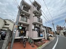 フローラルピンクの外観