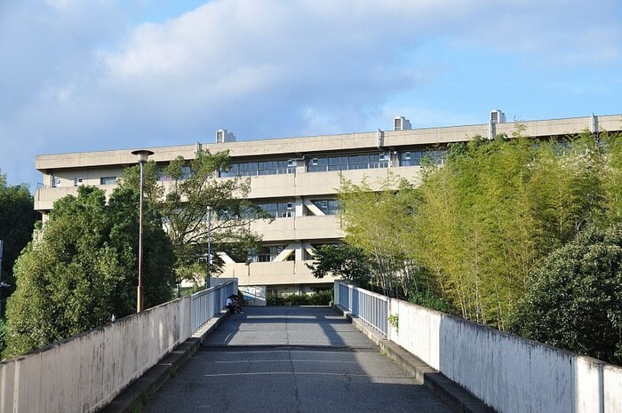 南千里中学校(中学校/中等教育学校)まで218m ｸﾞﾗﾝﾍﾞｰﾙ桃山台