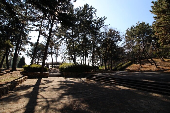 桃山公園(公園)まで808m ｸﾞﾗﾝﾍﾞｰﾙ桃山台