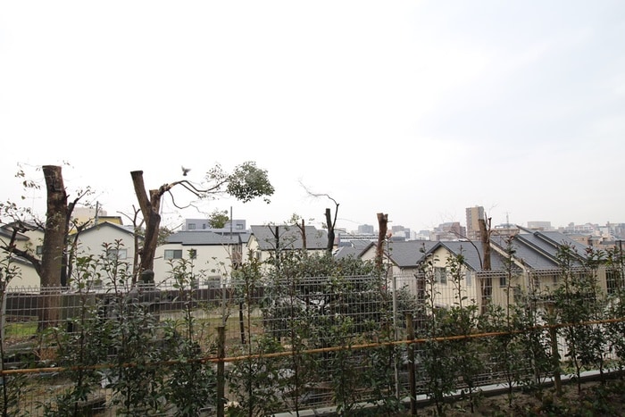 室内からの展望 Casa Arietta