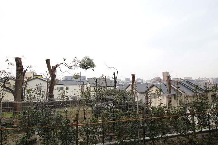 室内からの展望 Casa Arietta