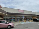 ダイソー大池店(100均)まで1200m ソレア－ド北六甲