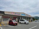 ウエルシア大池店(ドラッグストア)まで1200m ソレア－ド北六甲