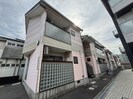 ピンクフラミンゴの外観