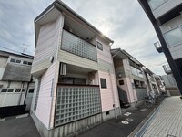 ピンクフラミンゴ