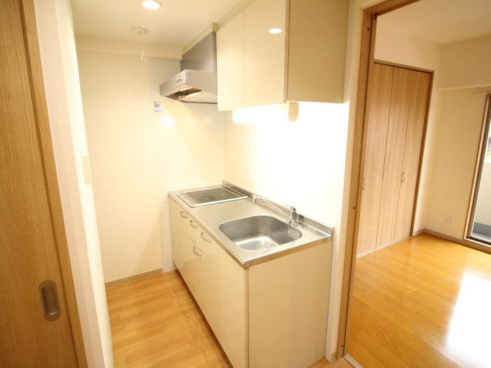 キッチン 弥生Ｖｉｌｌａｇｅ大垣内