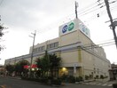 コープ(スーパー)まで250m D1