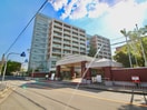 摂南大学　寝屋川キャンパス(大学/短大/専門学校)まで450m サンティール寝屋川
