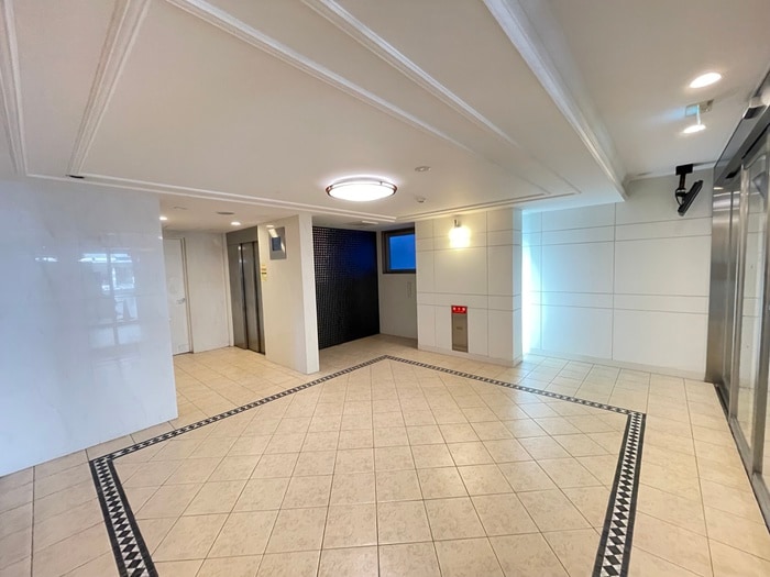 エントランス部分 エスリード三宮旭通(703)