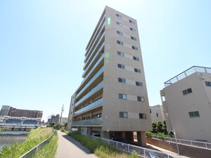 ラウロ相川リーヴァ（504）