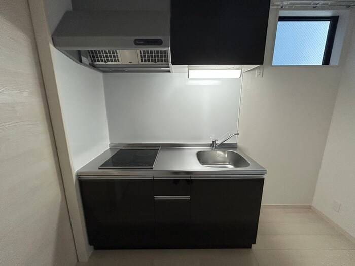 キッチン 仮）F asecia　dumalis