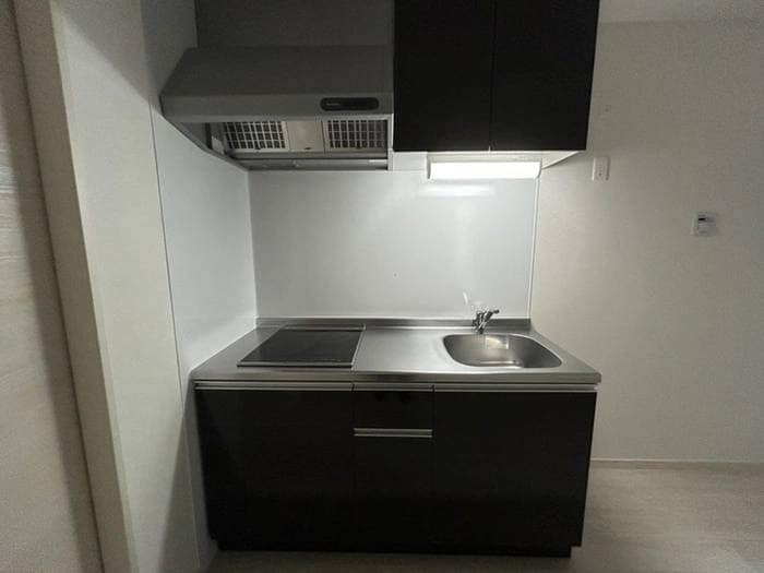 キッチン 仮）F asecia　dumalis