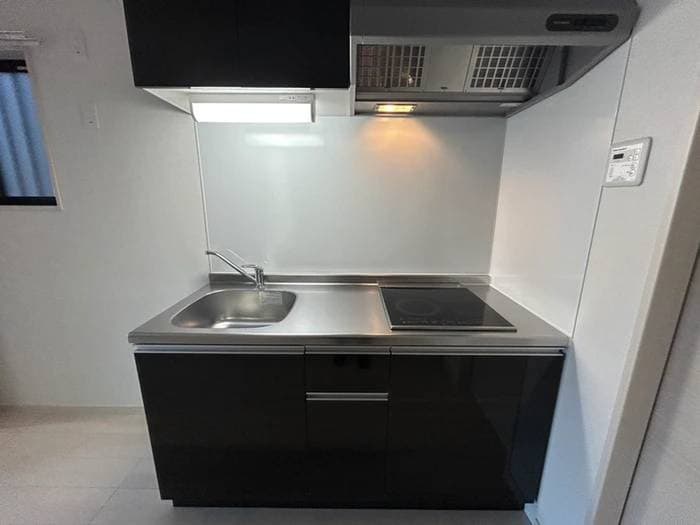 キッチン 仮）F asecia　dumalis