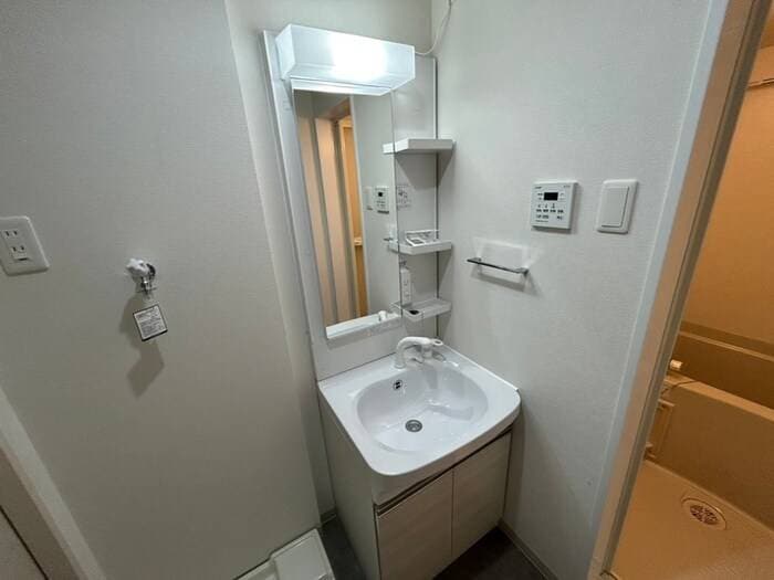 洗面 仮）F asecia　dumalis