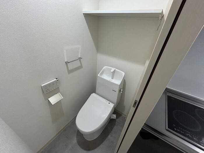 トイレ 仮）F asecia　dumalis