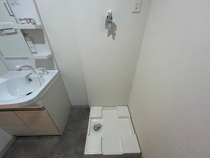 洗濯機置場 仮）F asecia　dumalis