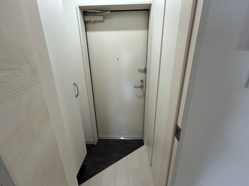 玄関 仮）F asecia　dumalis