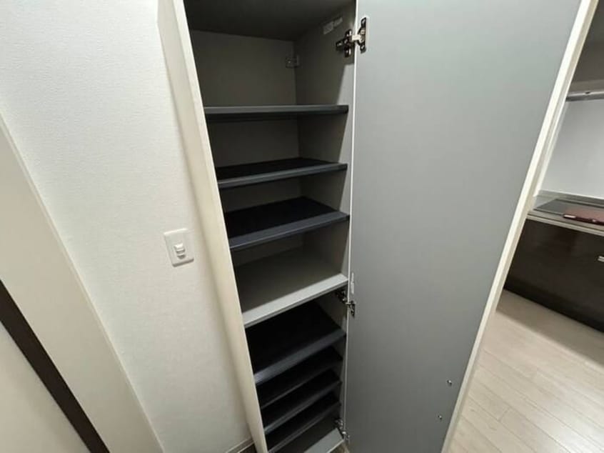 靴箱 仮）F asecia　dumalis