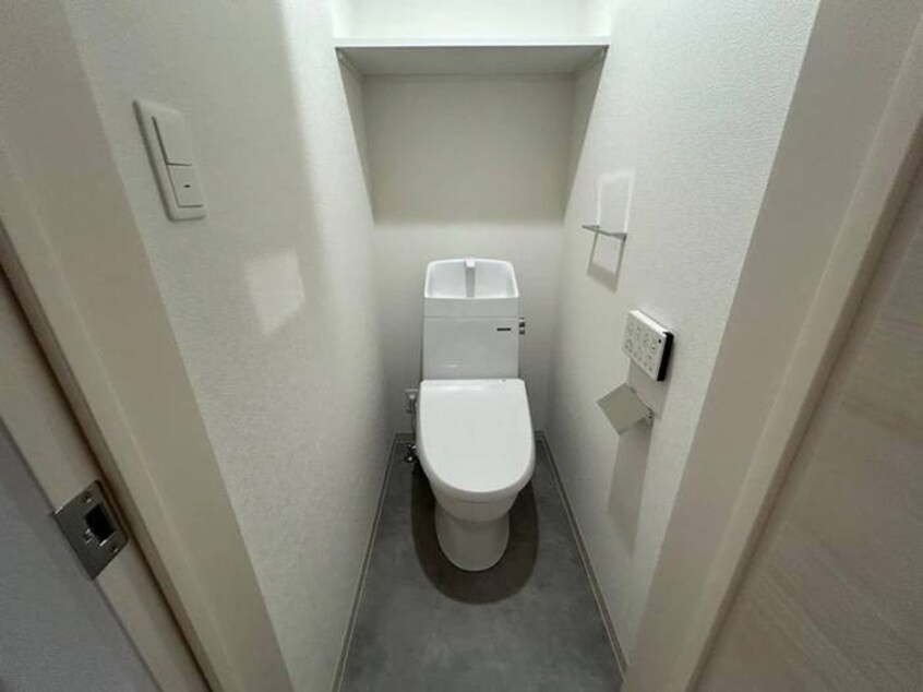 トイレ 仮）F asecia　dumalis